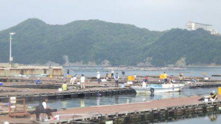 淡路じゃのひれフィッシングパーク 釣果