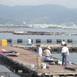 淡路じゃのひれフィッシングパーク 釣果