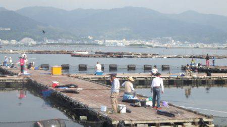 淡路じゃのひれフィッシングパーク 釣果