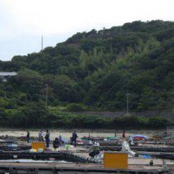 淡路じゃのひれフィッシングパーク 釣果