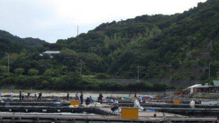 淡路じゃのひれフィッシングパーク 釣果