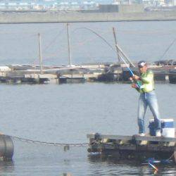淡路じゃのひれフィッシングパーク 釣果