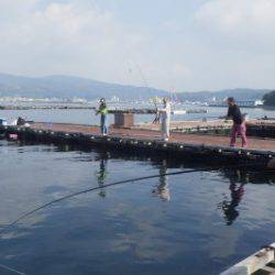 淡路じゃのひれフィッシングパーク 釣果