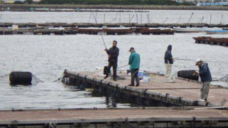淡路じゃのひれフィッシングパーク 釣果