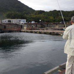 淡路じゃのひれフィッシングパーク 釣果