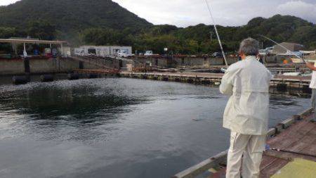 淡路じゃのひれフィッシングパーク 釣果
