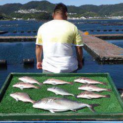 淡路じゃのひれフィッシングパーク 釣果