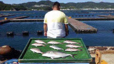 淡路じゃのひれフィッシングパーク 釣果