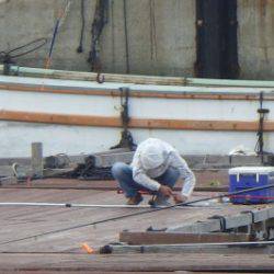 淡路じゃのひれフィッシングパーク 釣果