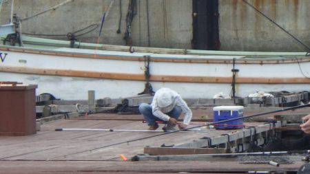 淡路じゃのひれフィッシングパーク 釣果