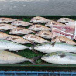 淡路じゃのひれフィッシングパーク 釣果