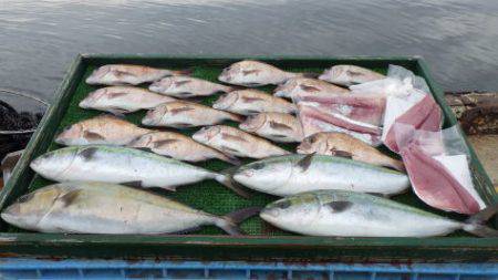 淡路じゃのひれフィッシングパーク 釣果