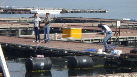 淡路じゃのひれフィッシングパーク 釣果