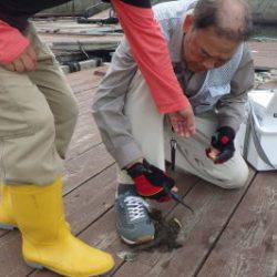 淡路じゃのひれフィッシングパーク 釣果