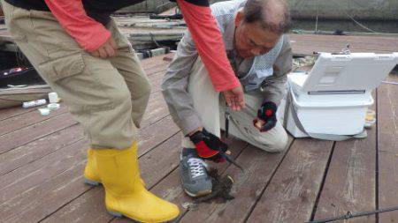 淡路じゃのひれフィッシングパーク 釣果