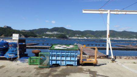 淡路じゃのひれフィッシングパーク 釣果