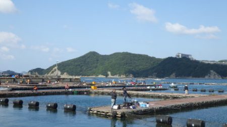 淡路じゃのひれフィッシングパーク 釣果