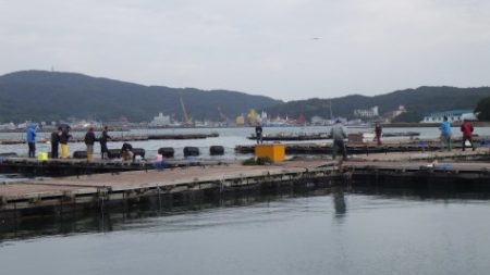 淡路じゃのひれフィッシングパーク 釣果