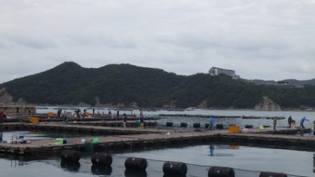 淡路じゃのひれフィッシングパーク 釣果