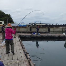 淡路じゃのひれフィッシングパーク 釣果