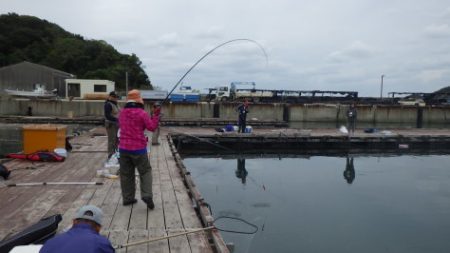 淡路じゃのひれフィッシングパーク 釣果