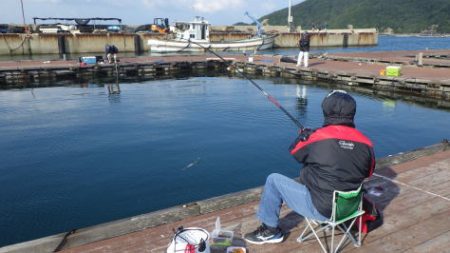 淡路じゃのひれフィッシングパーク 釣果