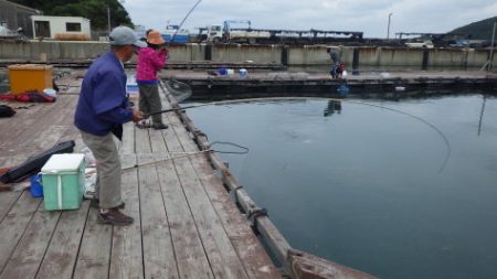 淡路じゃのひれフィッシングパーク 釣果