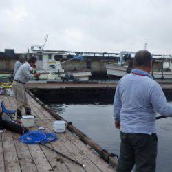 淡路じゃのひれフィッシングパーク 釣果