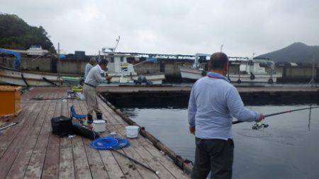淡路じゃのひれフィッシングパーク 釣果