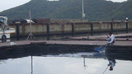 淡路じゃのひれフィッシングパーク 釣果