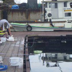 淡路じゃのひれフィッシングパーク 釣果