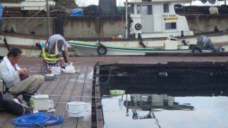 淡路じゃのひれフィッシングパーク 釣果