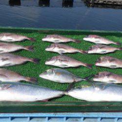 淡路じゃのひれフィッシングパーク 釣果