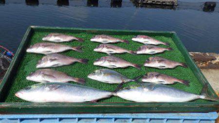 淡路じゃのひれフィッシングパーク 釣果