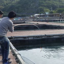 淡路じゃのひれフィッシングパーク 釣果