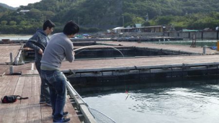 淡路じゃのひれフィッシングパーク 釣果