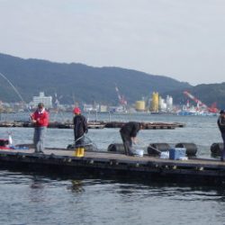 淡路じゃのひれフィッシングパーク 釣果