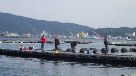 淡路じゃのひれフィッシングパーク 釣果