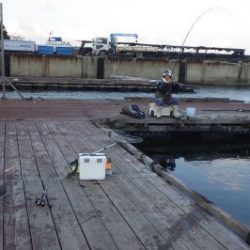 淡路じゃのひれフィッシングパーク 釣果