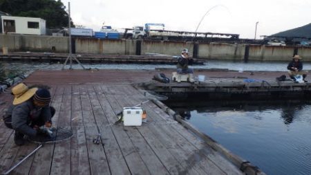 淡路じゃのひれフィッシングパーク 釣果