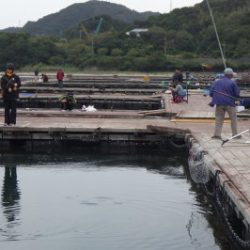 淡路じゃのひれフィッシングパーク 釣果