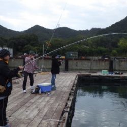 淡路じゃのひれフィッシングパーク 釣果