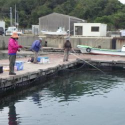 淡路じゃのひれフィッシングパーク 釣果