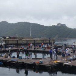 淡路じゃのひれフィッシングパーク 釣果