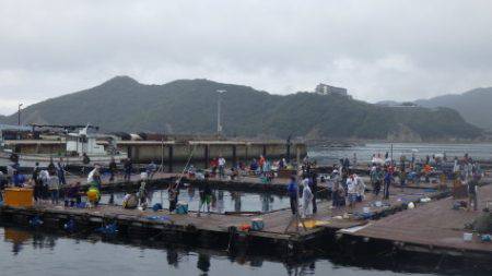 淡路じゃのひれフィッシングパーク 釣果