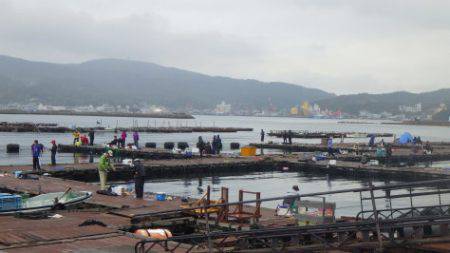 淡路じゃのひれフィッシングパーク 釣果