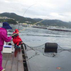 淡路じゃのひれフィッシングパーク 釣果