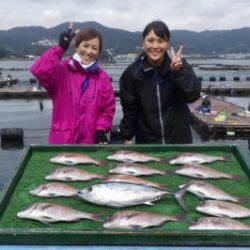 淡路じゃのひれフィッシングパーク 釣果