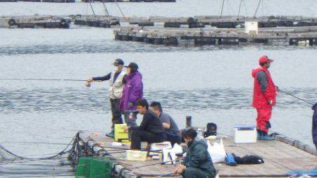 淡路じゃのひれフィッシングパーク 釣果