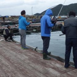 淡路じゃのひれフィッシングパーク 釣果